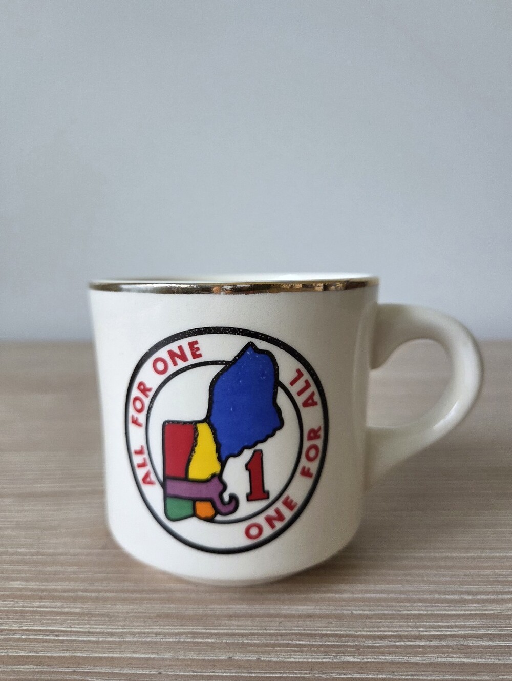 Vintage Boy Scouts of America Region 1 Coffee Mug All For One One For All USA